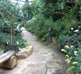 Subtropenhaus