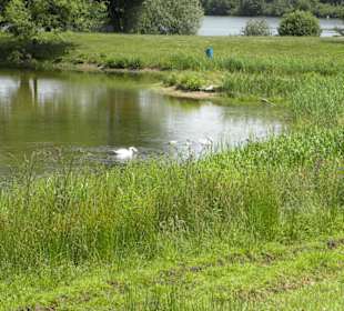 Restaurant Pistors Seeblick Am Irenensee