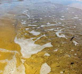 Ende September 2010 Inspirationen