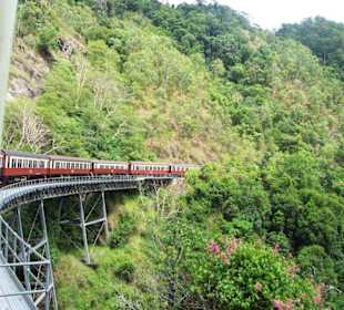 Auf der Fahrt nach Kuranda
