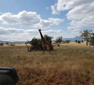 Isaac MK Safari/Isaac Mwachai
