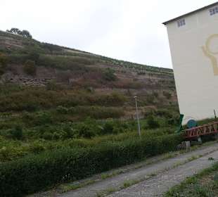 Draisinen Tour Altenglan