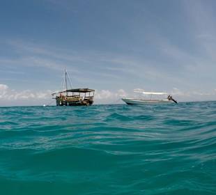 Dhow & Dhingi