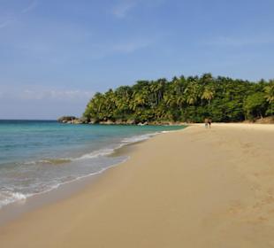 Samana-Las Terrenas Tour