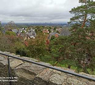 Blick Richtung Stadt