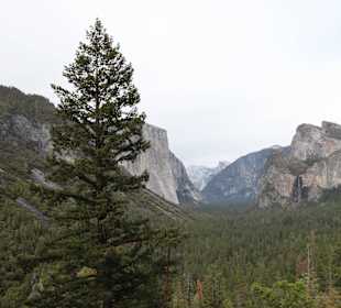 In Yosemite Park
