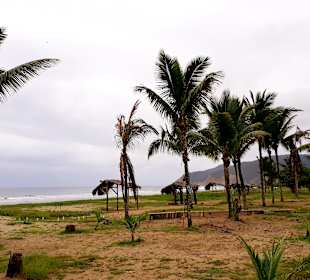 Rundgang Puerto Lopez