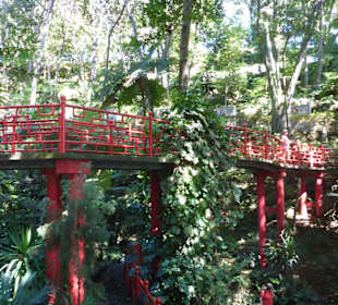 Jardim Tropical Garden Monte Palace