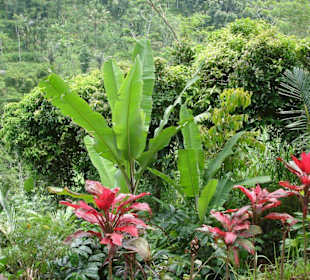 was für ein Ausblick