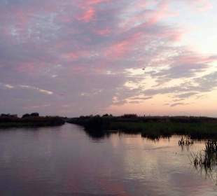 Donau Delta Frühmorgens