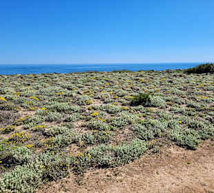 Wandern Can Picafort 