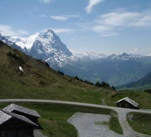 Wanderweg von der First zur großen Scheidegg
