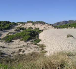 Dünen Cala Mesquida