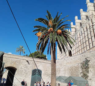 Wandern Playa de Palma - Palma