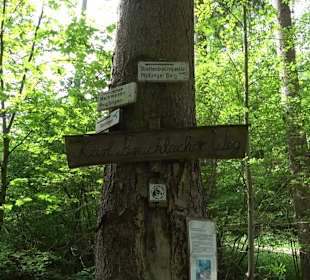 Breitenbachquelle