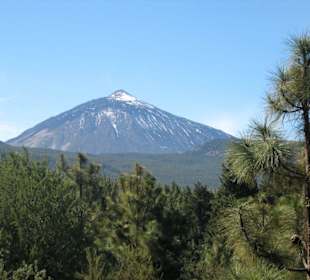 Orotava-Tal mit Teide