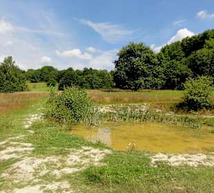Wasserflächen in der Dönche