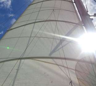 Segel - Magic Select Katamaran