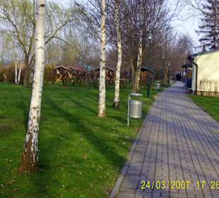 Herbst am Löderburger See