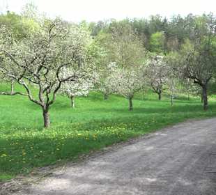 Walderlebnisweg Rottenburg