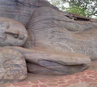 Polonnaruwa