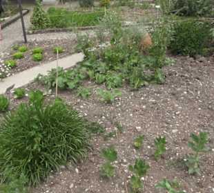 FIFA World Football Museum