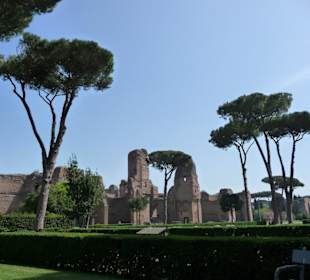 Blick auf die Ruinen vom Park aus