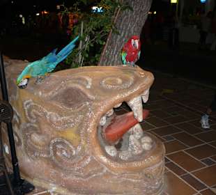Bar Atlantis