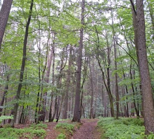 Wandern Friedrichroda