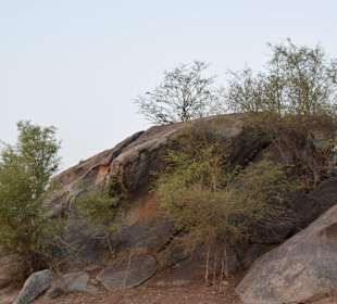 Hügel in der Jawai-Gegend