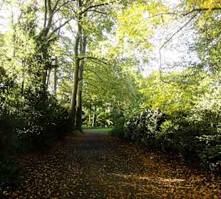 Herbstspaziergang durch den Schlosspark