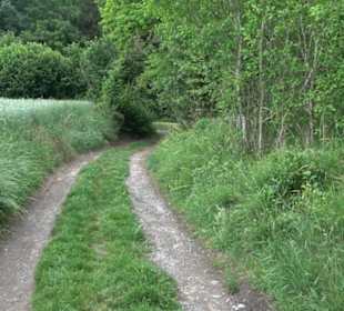Wanderweg - Alter Steinbruch Pfaffenberg Runde