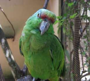 Exotische Fauna und Flora zum anfassen