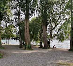 Uferpromenade Konstanz