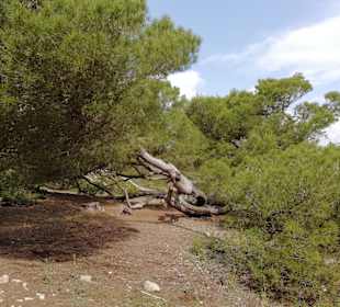Wanderung im Naturpark