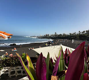 Playa Jardín