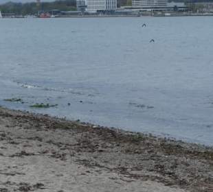 Blick vom Strand von Rosenhagen nach Travemünde