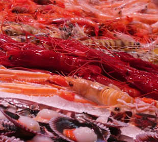 Bunter Markt in Santa Cruz