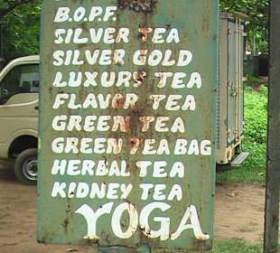 Verschiedene Teesorten