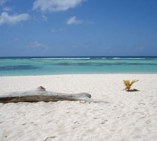 Einsamer Traumstrand auf Saona