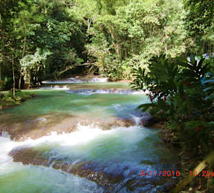 Y/S Wasserfall