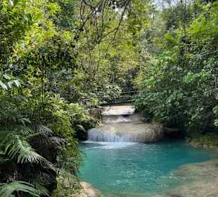 El Nicho einsam während Covid