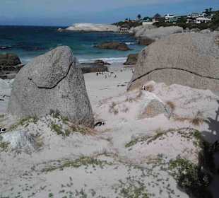Boulders Beach