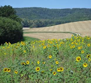 Impressionen vom Nothelferweg