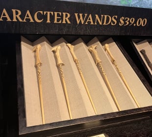 Harry Potter New York Store