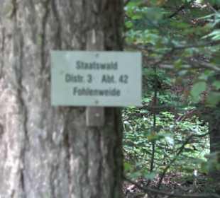 Altwege Rundwanderung Bebenhausen