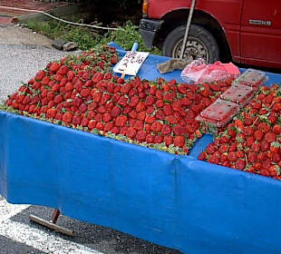 Frische Erdbeeren - Dezember 2008