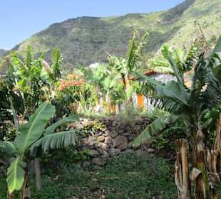  Molino de Gofio Los Telares