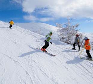 Skifahren Region Bad Kleinkirchheim, Nockberge