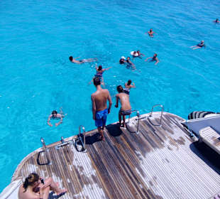 Delfintour 07.08.2012 